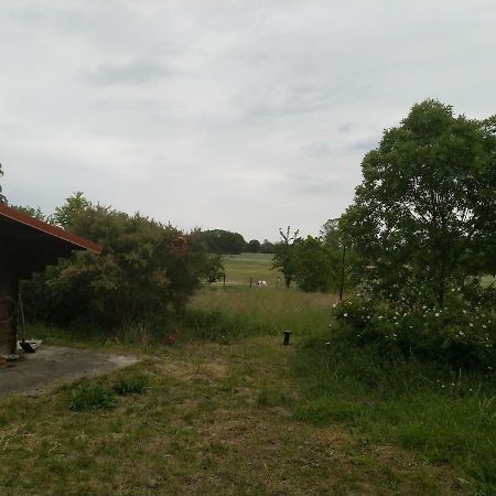 New Home Langendorf  Екстериор снимка
