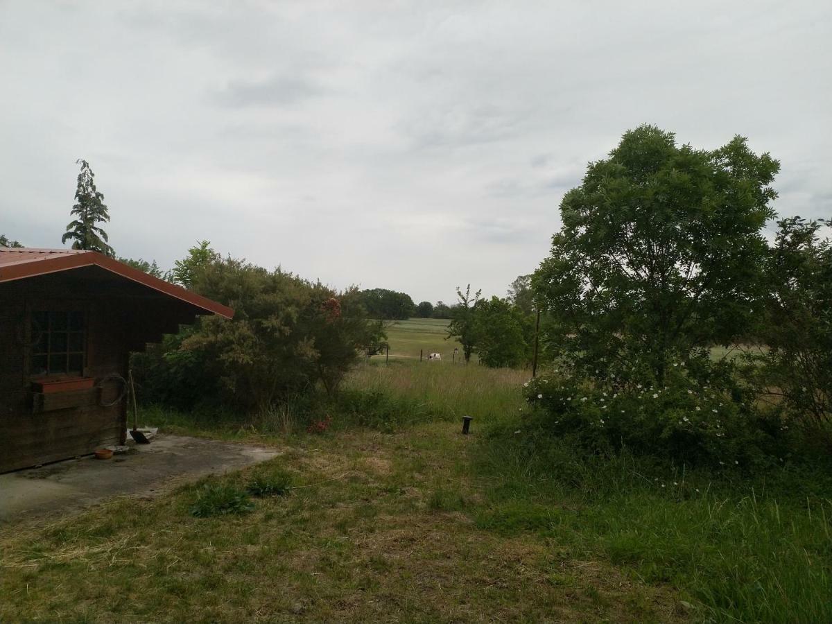 New Home Langendorf  Екстериор снимка